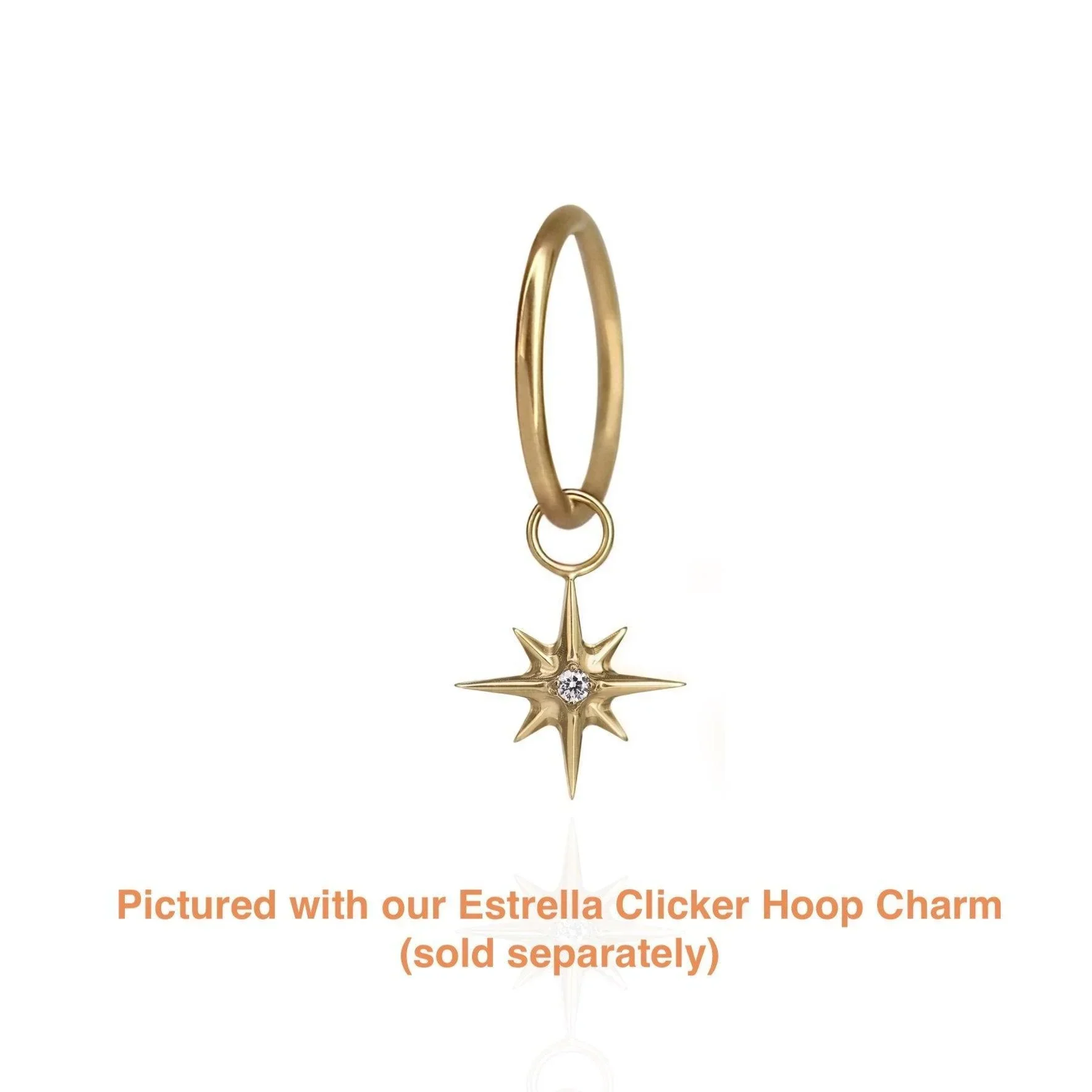 Clicker Hoop (Choose a Size) - Image 12