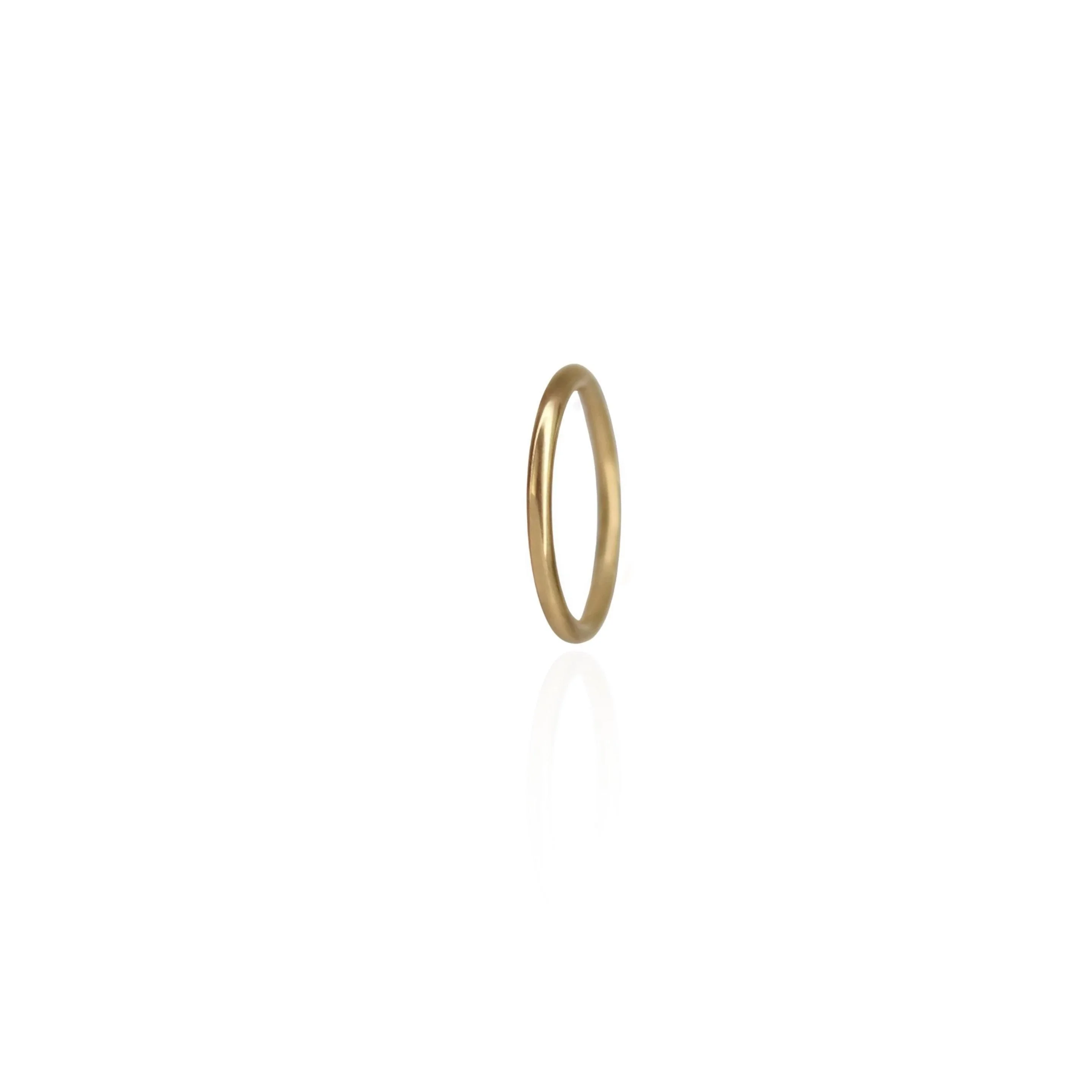 Clicker Hoop (Choose a Size) - Image 14