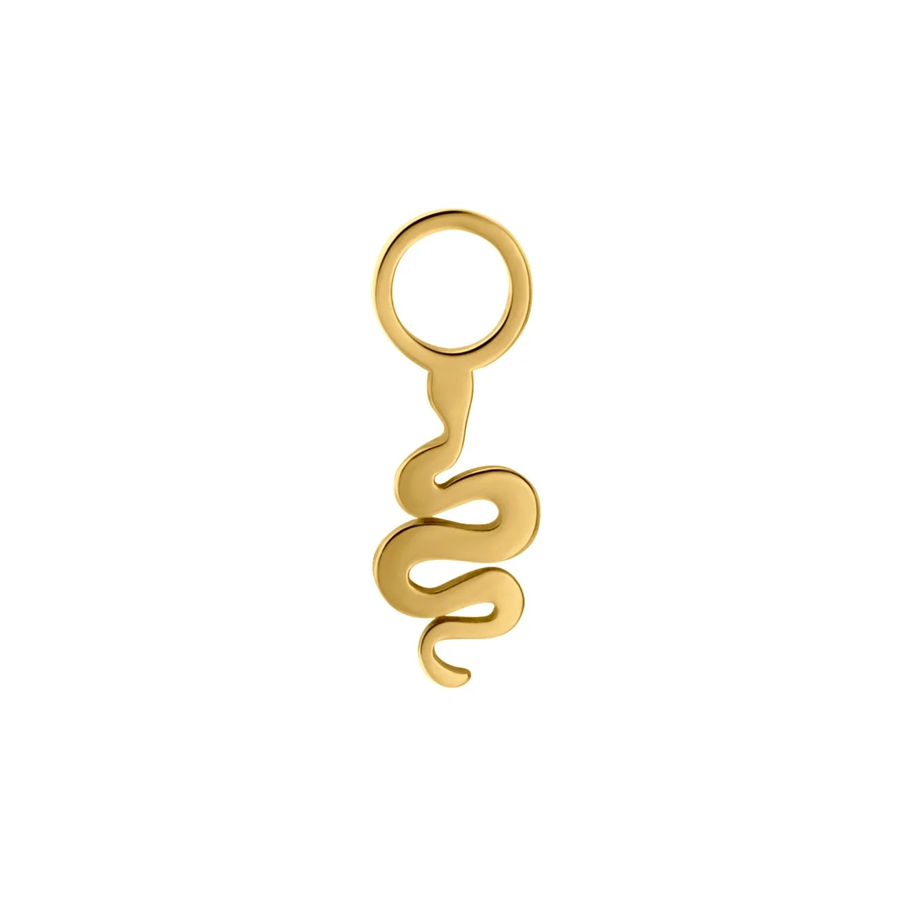 Snake Hoop Charm