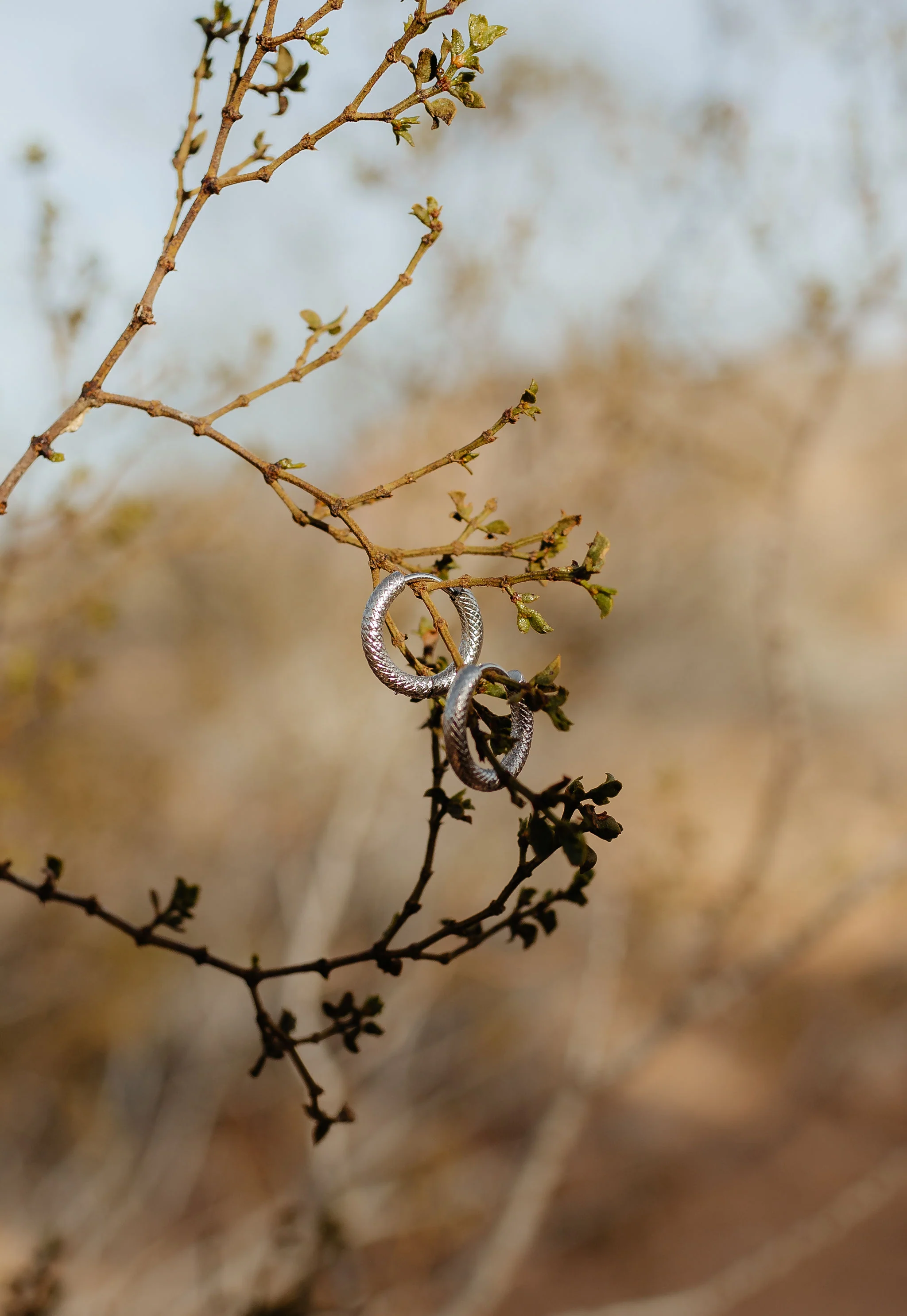 Snakeskin Hoops - Image 4