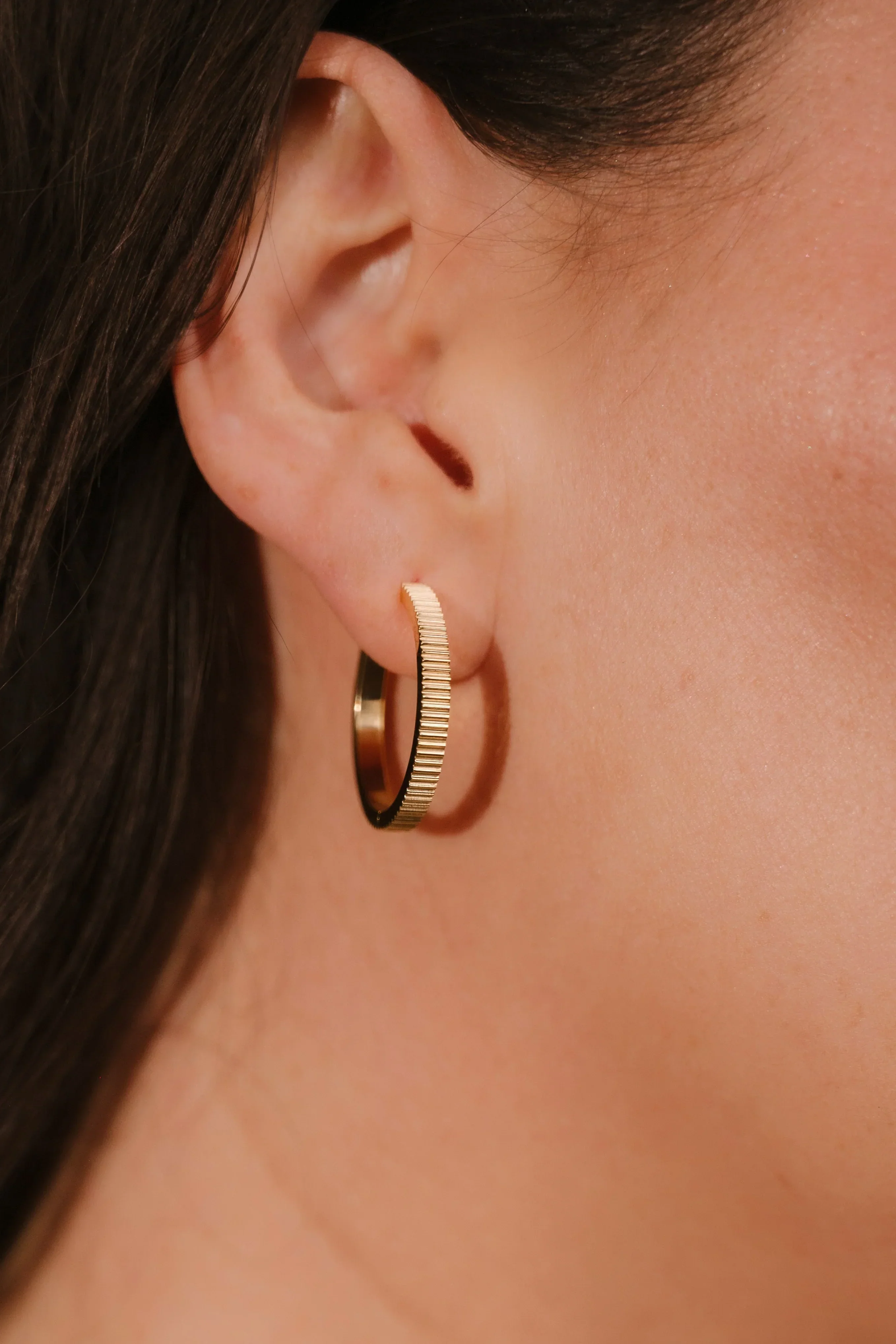 Spare Change Titanium Hoops - Image 2