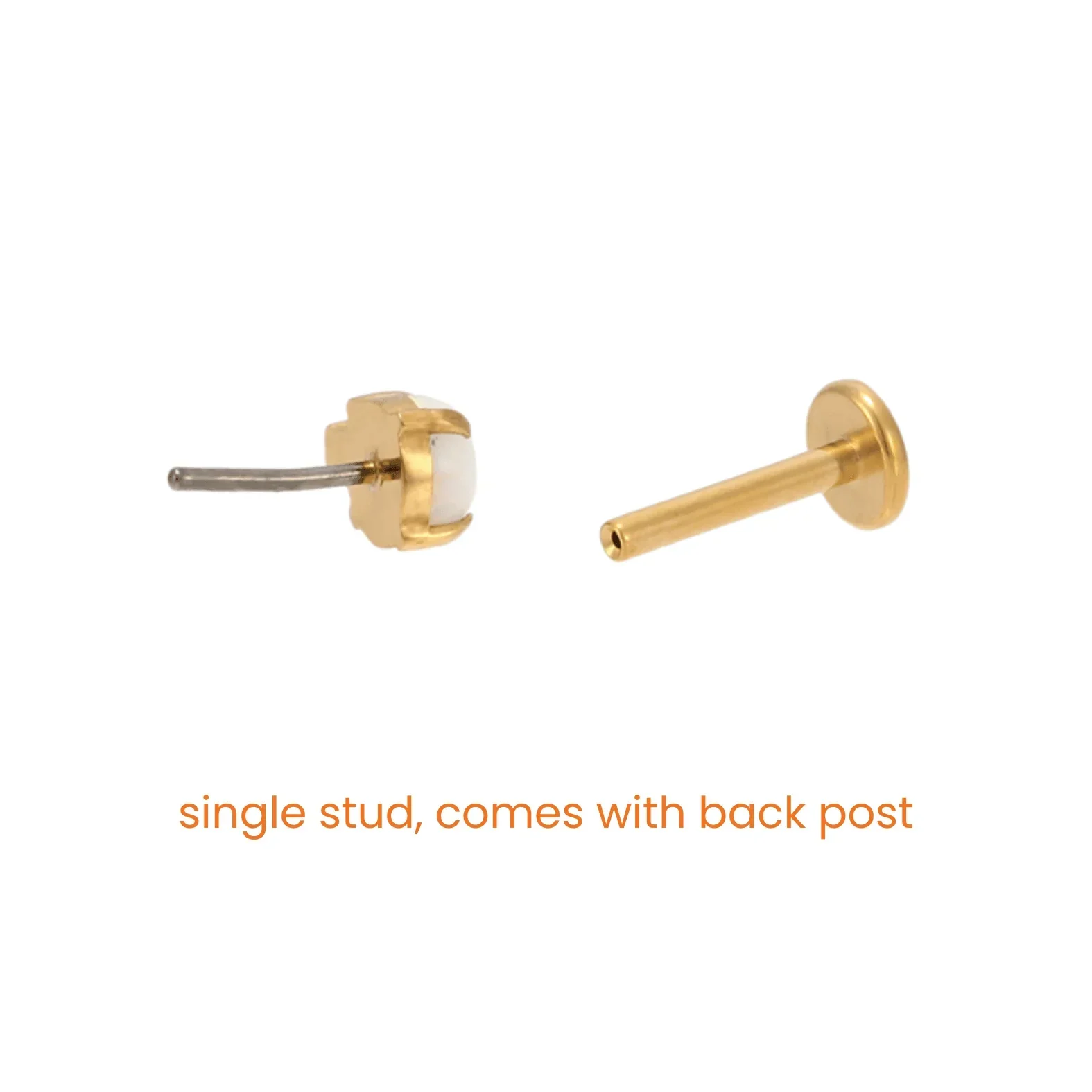 Tortuga Flat Back Stud - Image 6